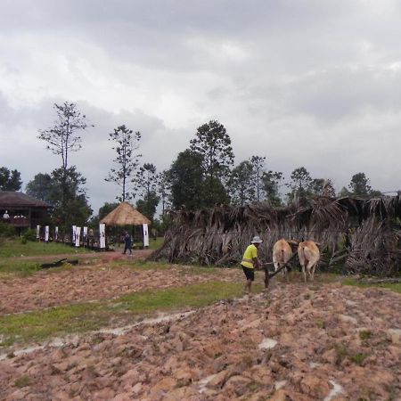 The Bong Thom Homestay Sziemreap Kültér fotó
