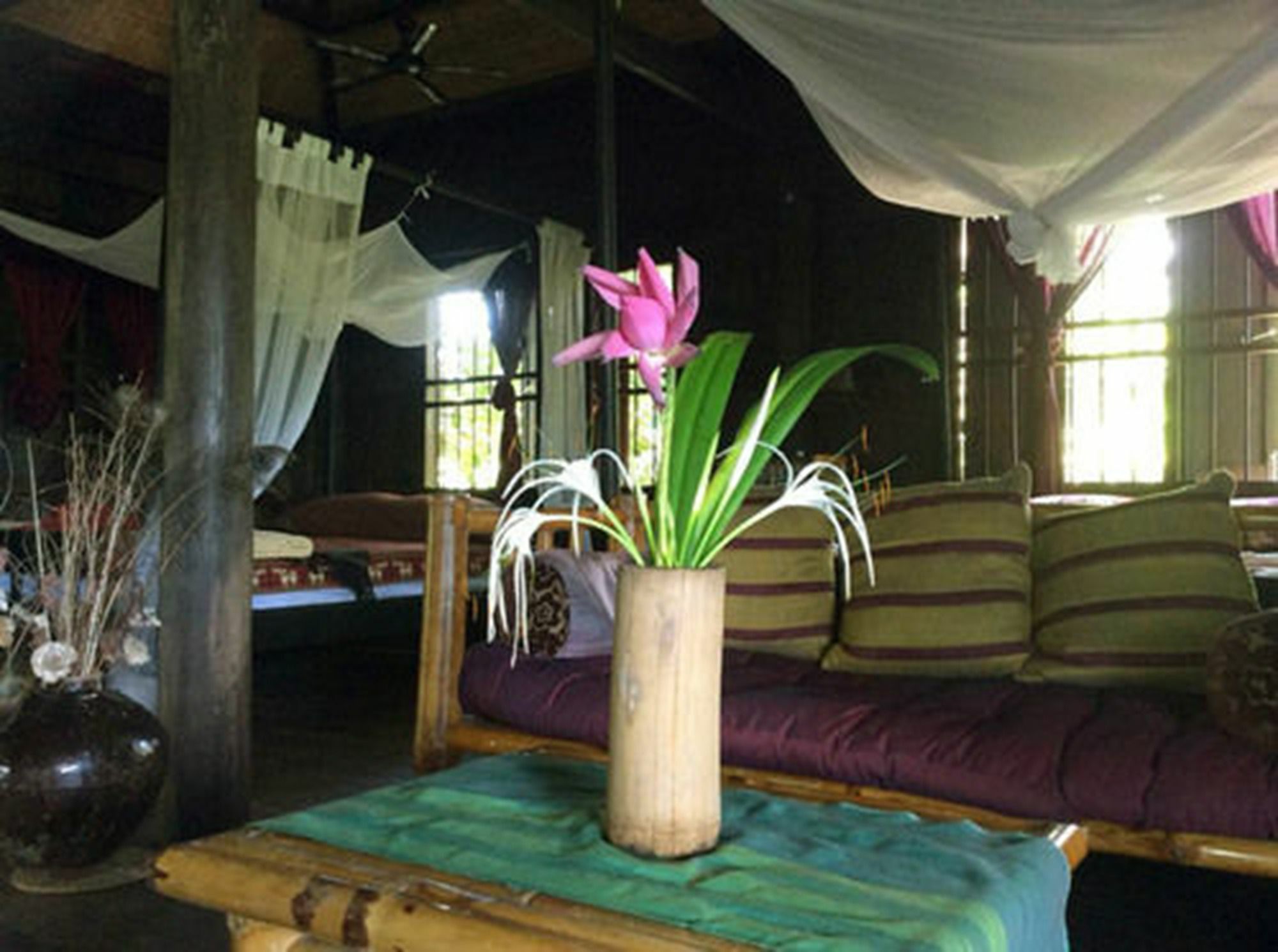 The Bong Thom Homestay Sziemreap Kültér fotó